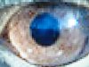 eagle eye on m6400.JPG