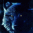 blackwolf