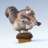 French_Scrat