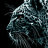 sank06