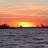 Bluefish024