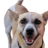 regex