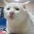 SeriousCat