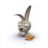 bunnny