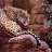 Shahzad_RM