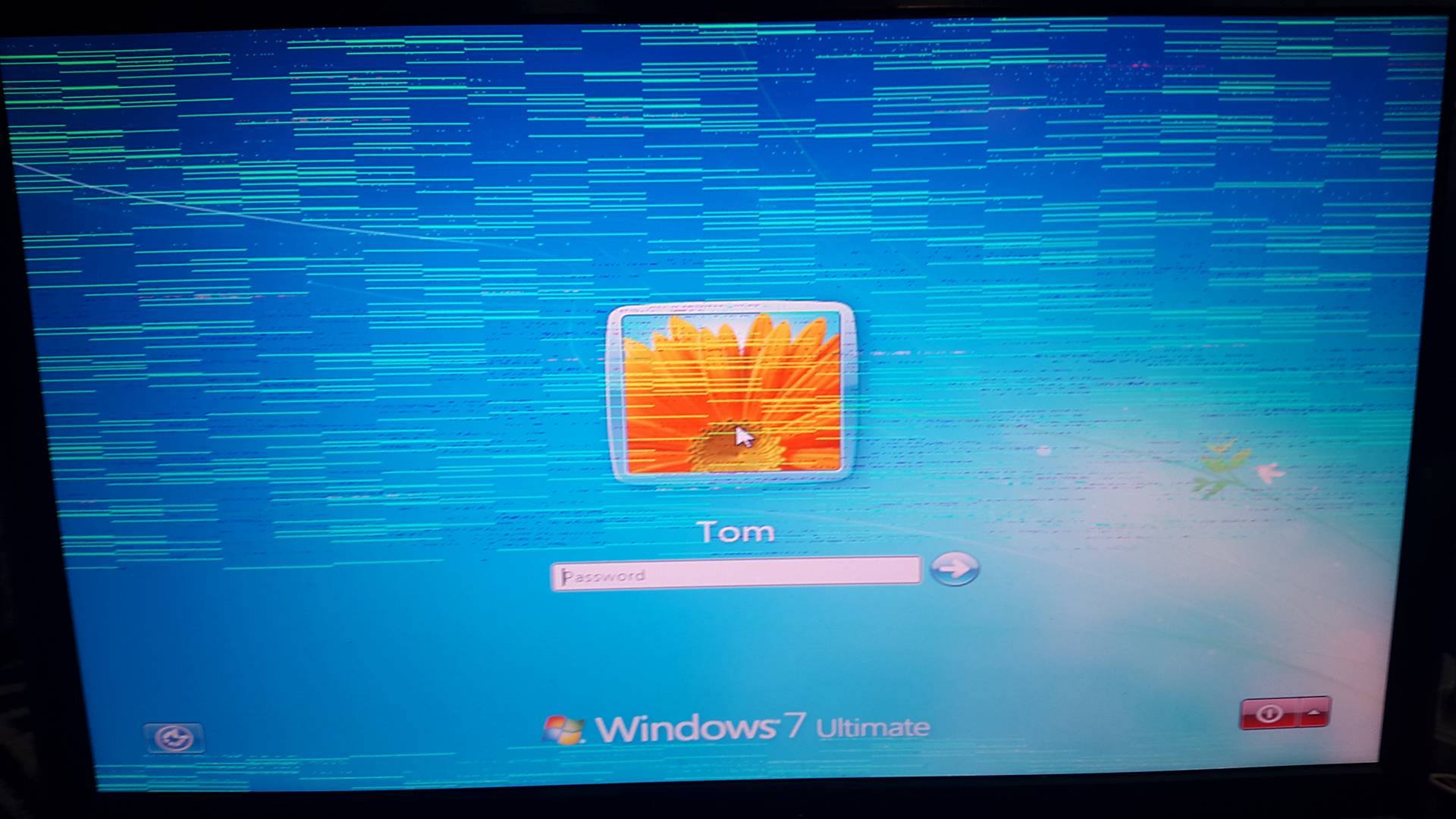 18641357_10210409318722011_2029786358_o