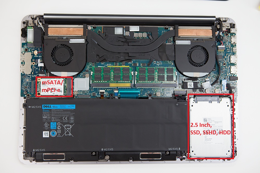 Insides Marked