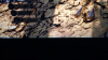 IMG_5313.PNG