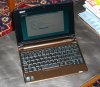 acer1.jpg