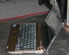 acer2.jpg