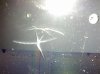 IMG_20130630_130753.jpg