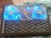 IMG00069-20110307-1231.jpg