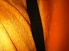 IMG00892-20110313-1314.jpg
