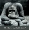 confusion-286x300.jpg