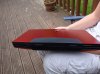 DSC01160_resize.JPG