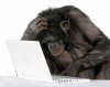 hw_monkey-computer.jpg