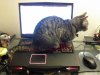 IMG_20111228_185638.jpg