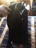 20130222113137.jpg