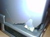 IMG00037-20090811-1214.jpg
