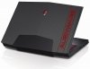 CarbonFiberStripedM17xBack_B.jpg