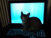 DSC00152.jpg