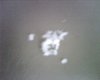 IMG00120.jpg