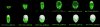 green.jpg