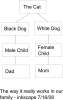 drawing.png