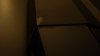 PB160802.JPG