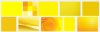 yellow.jpg