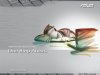 ASUS3.JPG
