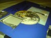 DSC00066.JPG