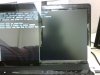 IMG00002-20100111-1413.jpg