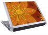 dell-skin.jpg