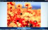 DSC_7116.jpg