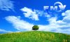 fmv2005spring21280768.jpg