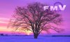 fmv2005spring41280768.jpg