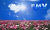 fmv2005spring81280768.jpg