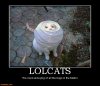 lolcats-lolcats-bug-matrix-demotivational-posters-1347481779.jpg