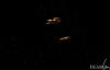 2.png_thumb.png