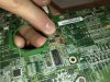acer.jpg