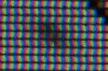 DSC05414.jpg