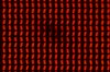 DSC05416.jpg