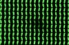 DSC05417.jpg