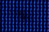 DSC05419.jpg