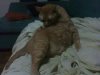 IMG00012.jpg