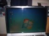 DSCF2173.JPG