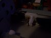 100_2132.JPG