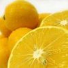 ark-prod-meyer_lemon.jpg