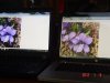 DSC07884s2.jpg